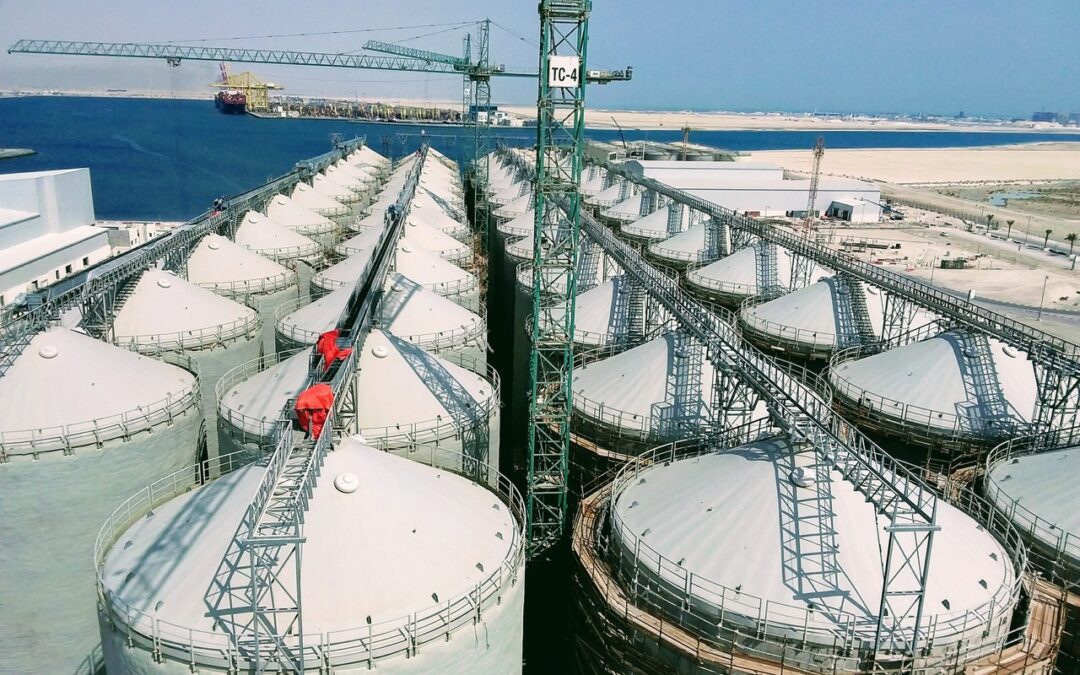 New 300.000t rice storage plant in Qatar