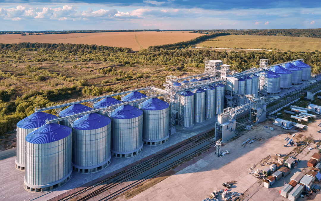 Cylindrical Flat Bottom Silos FBS