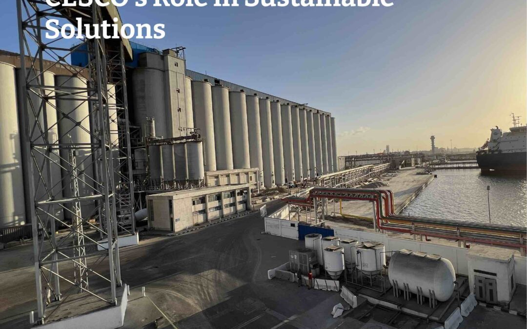 The Future of Ports is Green. CESCO’s Role in Sustainable Solutions