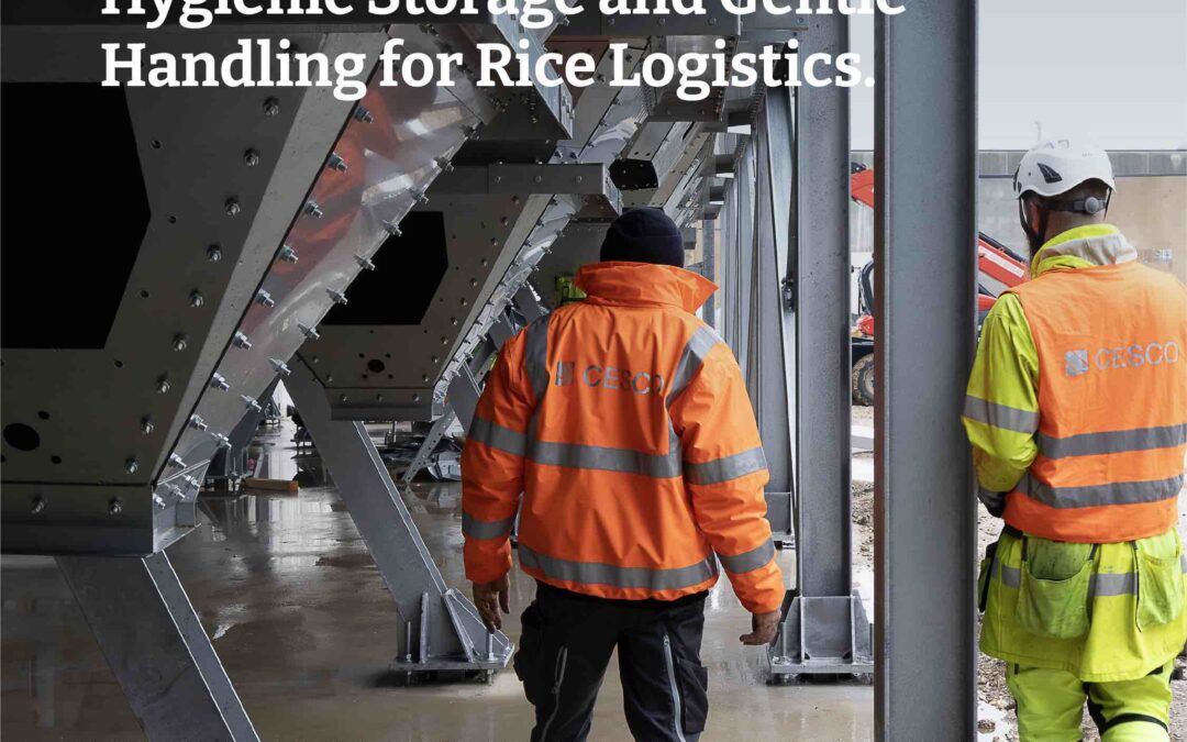 Smooth Wall Square Silos. Hygienic Storage and Gentle Handling for Rice Logistics