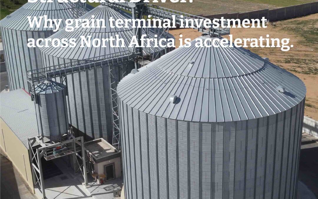 Four Markets. One Structural Driver. Why grain terminal investment across North Africa is accelerating now.